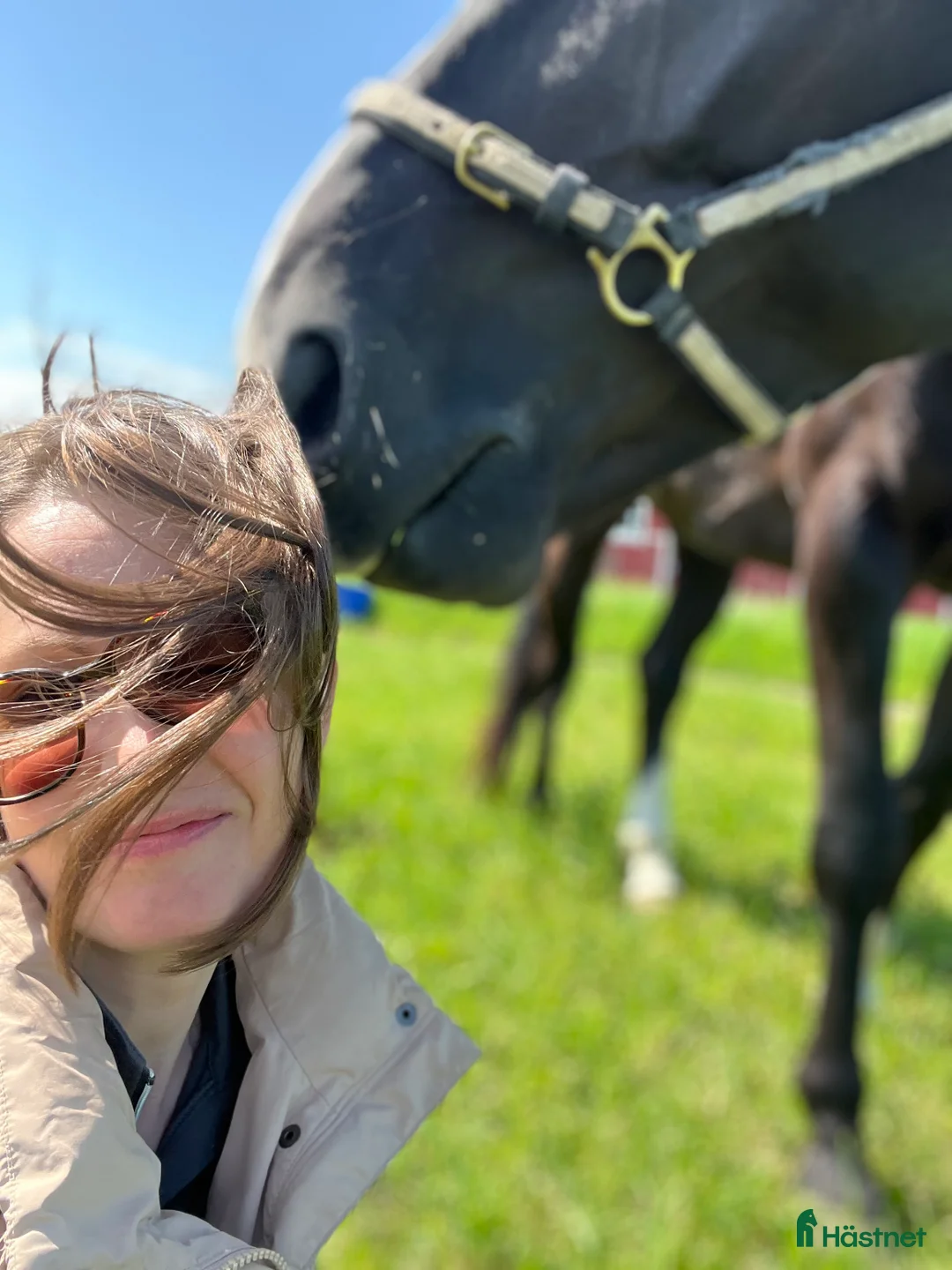 Galleribild {{count}}