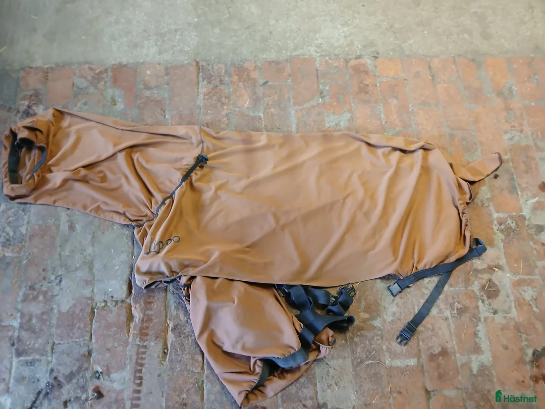 Täcken hästutrustning till salu: Lippo exemtäcke stl 115 i Löberöd - Annons 1