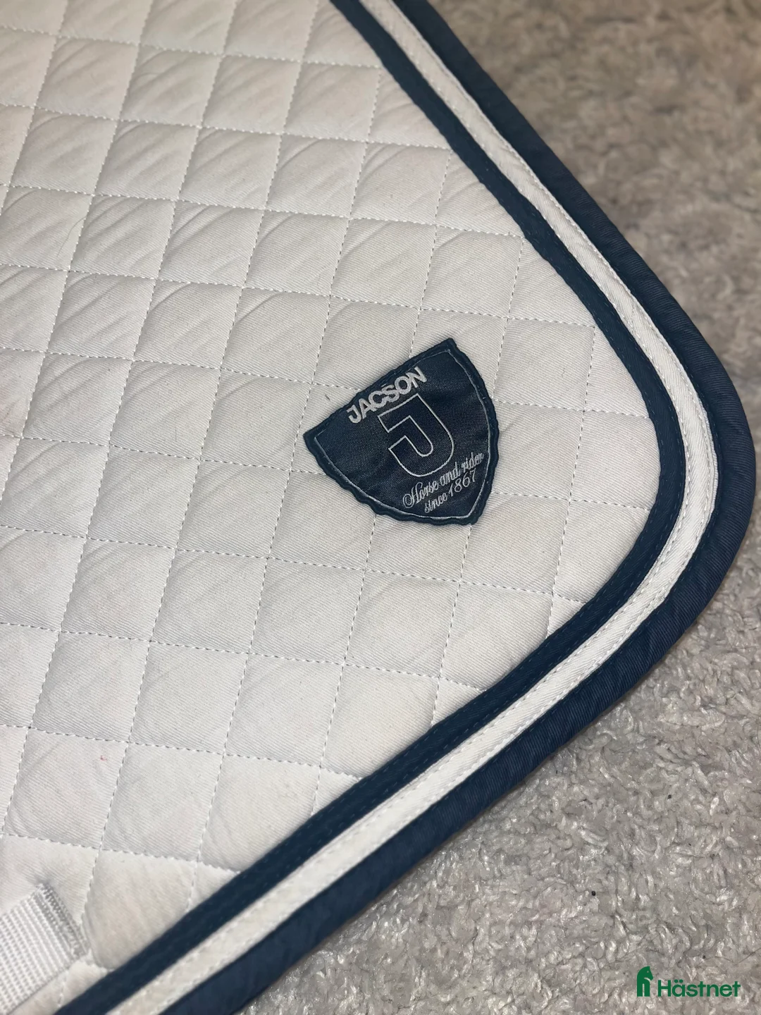 Schabrak & Vojlockar hästutrustning till salu: Jacson schabrak🤍 - Annons 2