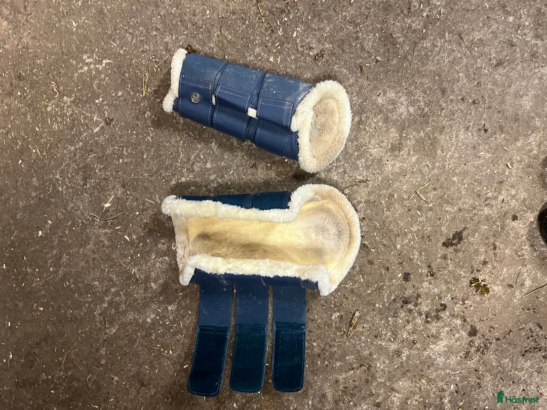 Schabrak & Vojlockar hästutrustning till salu: Ljusblått set från ps  i Landsbro - Annons 3