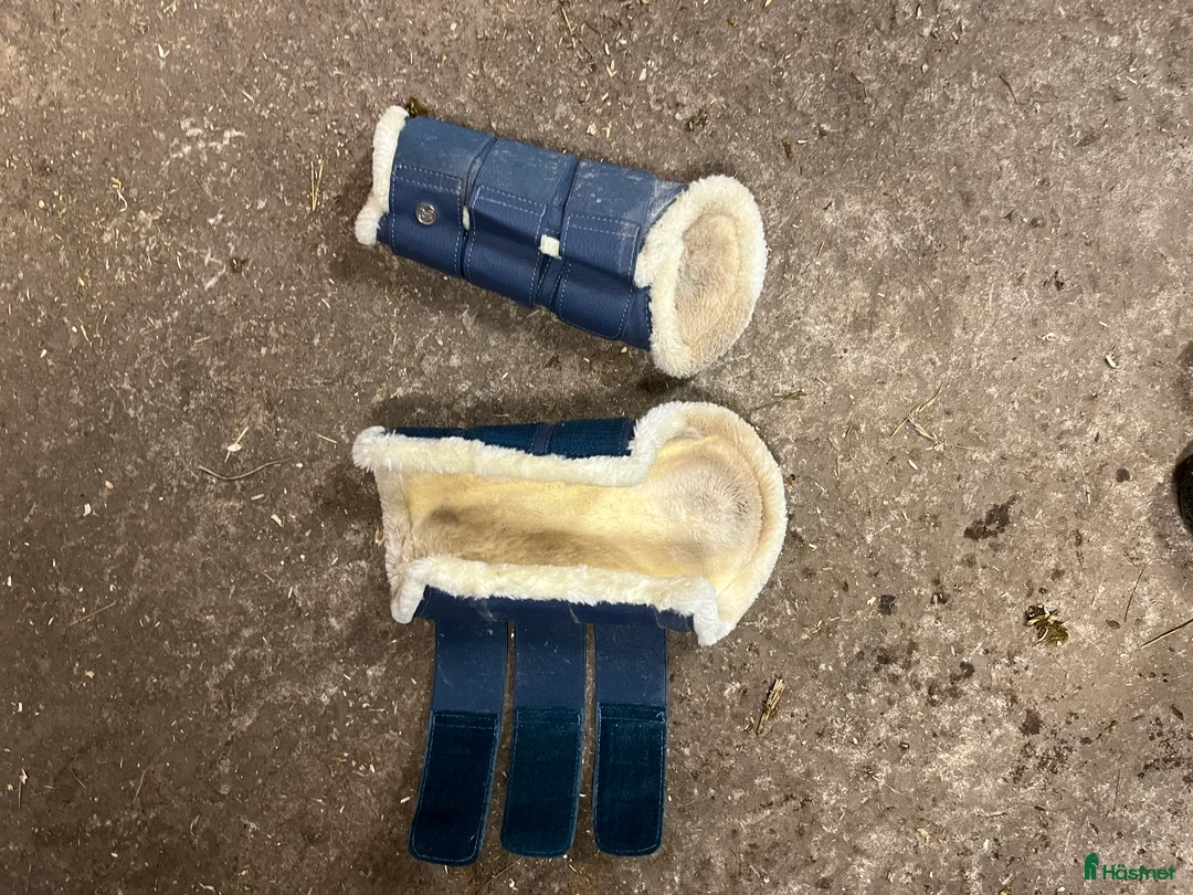 Schabrak & Vojlockar hästutrustning till salu: Ljusblått set från ps  i Landsbro - Annons 3