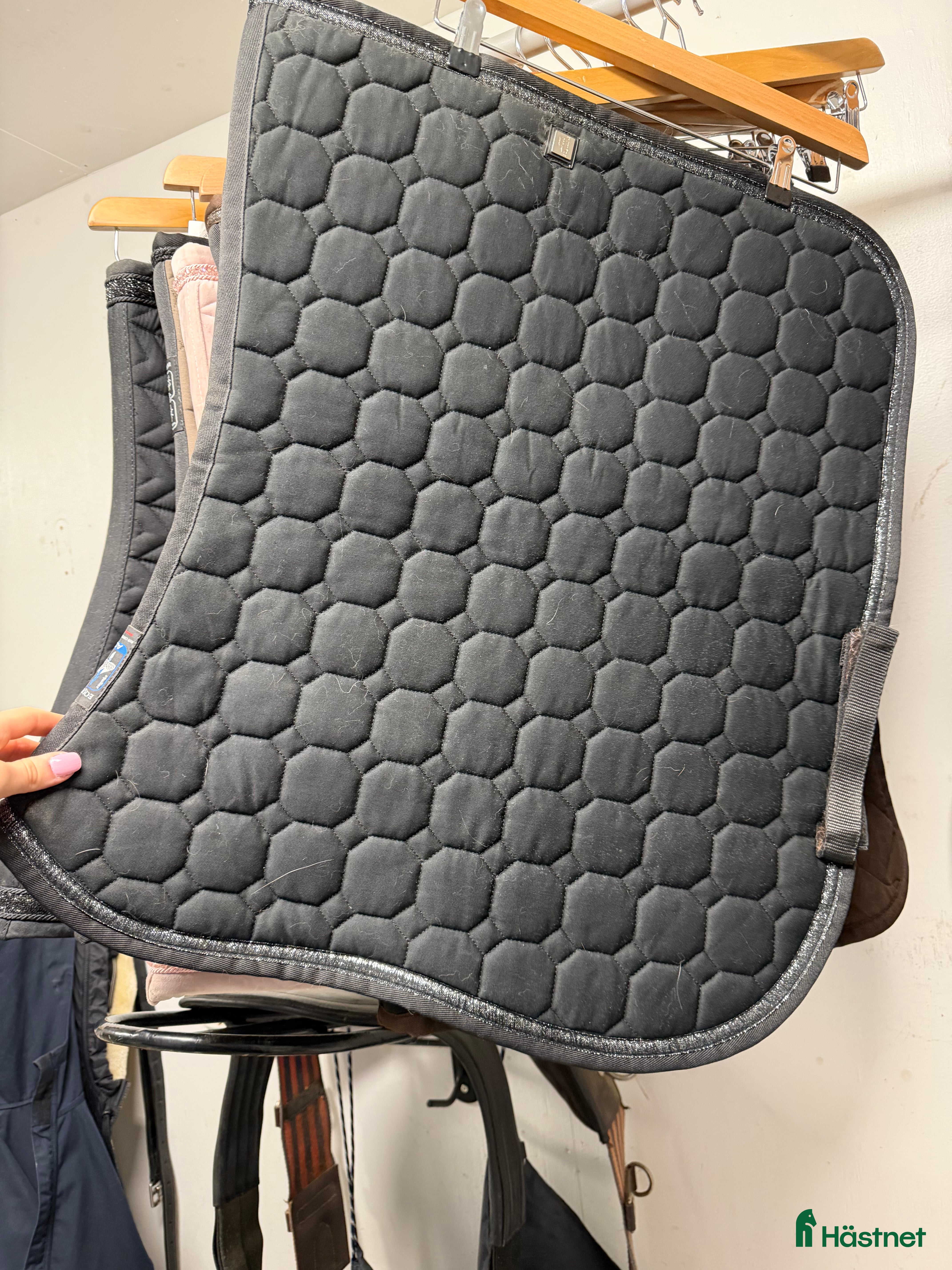 Schabrak & Vojlockar hästutrustning till salu: Dressyrschabrak Equiline  i Skellefteå - Annons 4