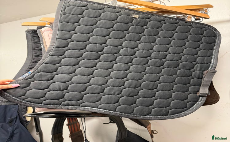 Schabrak & Vojlockar hästutrustning till salu: Dressyrschabrak Equiline  i Skellefteå - Annons 2