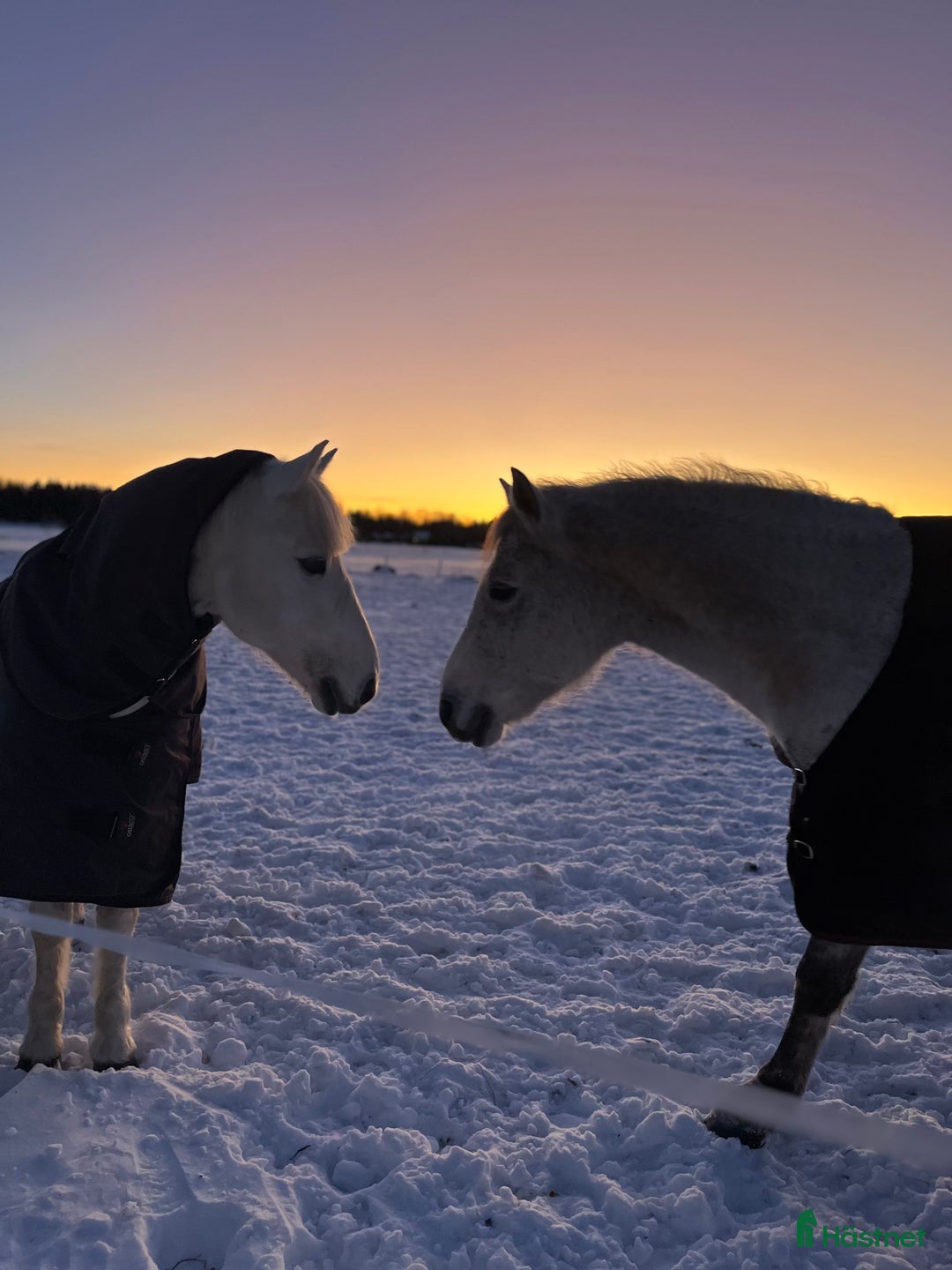  stallplats finnes: Stallplats utanför uppsala i Bälinge - Annons 1