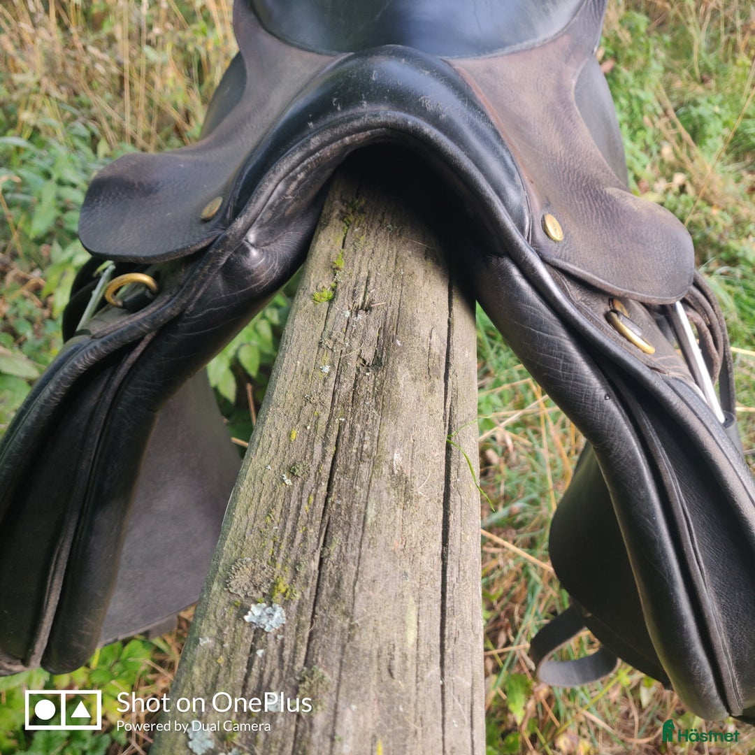 Sadlar hästutrustning till salu: Allround Sadel i Österbybruk - Annons 4