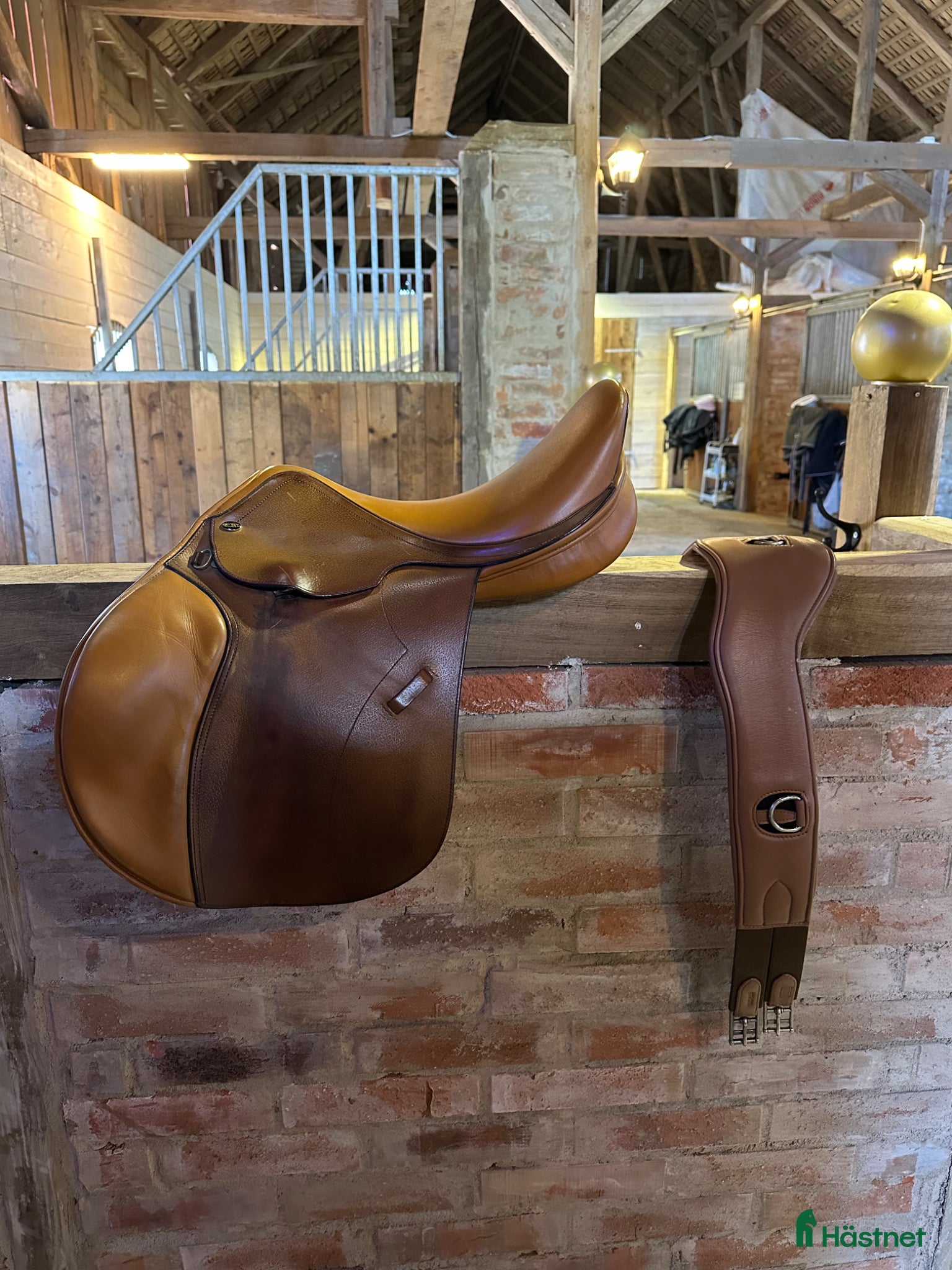 Sadlar hästutrustning Globus Clic 17,5” 36 - Annons 1