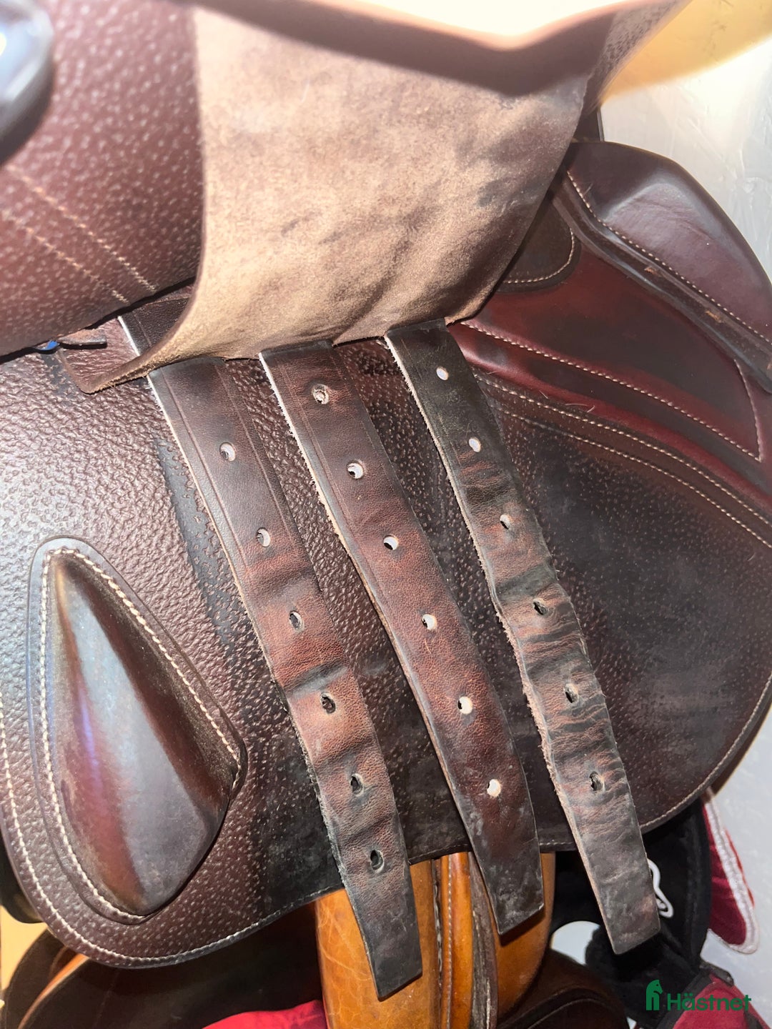 Sadlar hästutrustning till salu: Välvårdad CWD i Kramfors - Annons 8