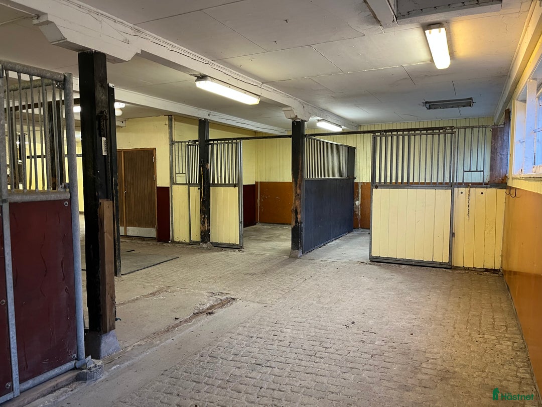  hästgårdar till salu: Stallplats uthyres Stjärnhov i Stjärnhov - Annons 2