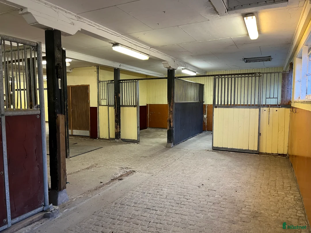  hästgårdar till salu: Stallplats uthyres Stjärnhov i Stjärnhov - Annons 2