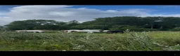  stallplats finnes: Lösdriftsplats för islandsvalacker- Vallentuna - Annons 12