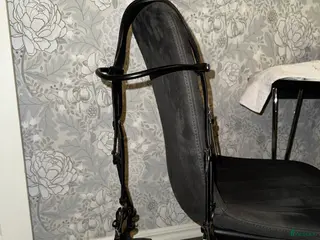 Träns hästutrustning till salu: PS OF SWEDEN pioneer full i Motala - Annons 3