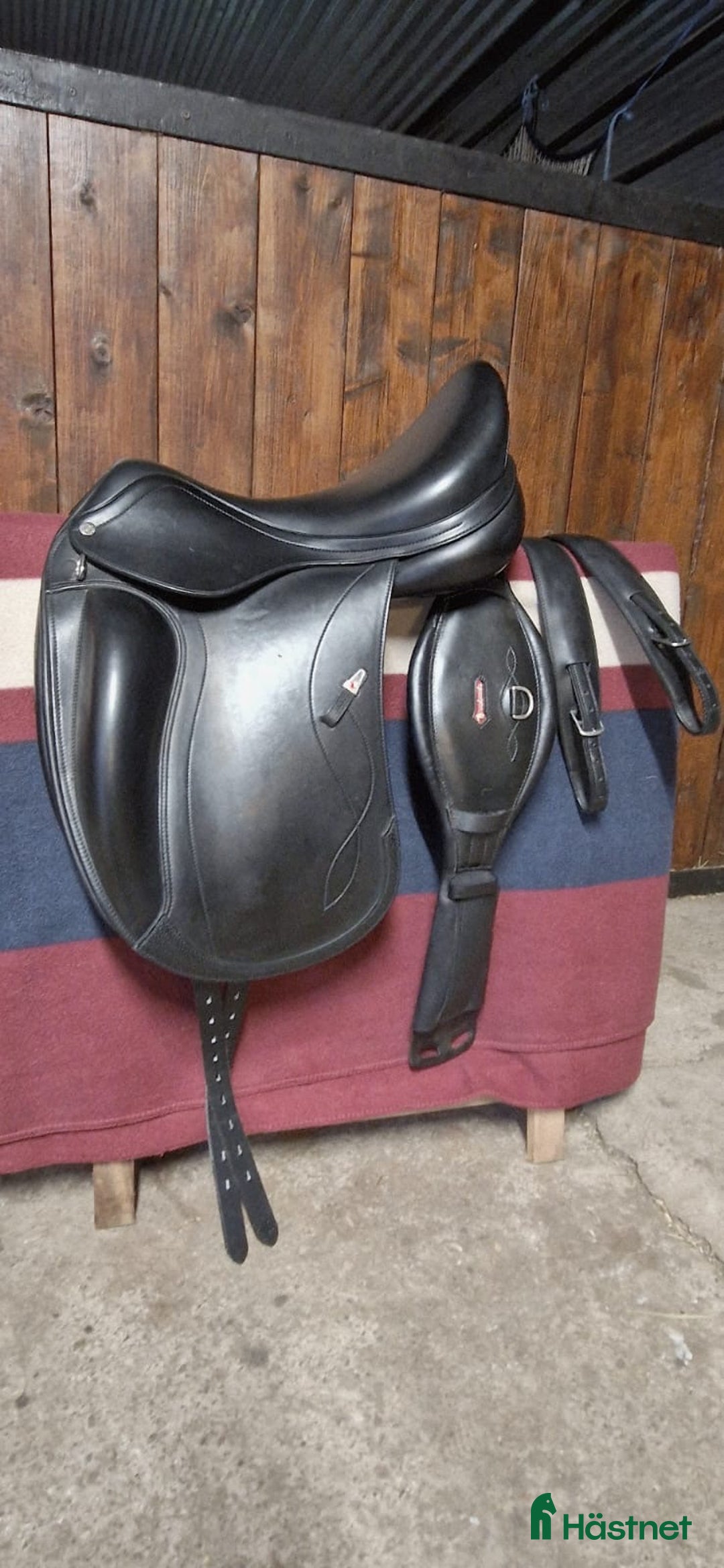 Sadlar hästutrustning till salu: Equipe Olympia, sadelgjord & stigläder i Hjärnarp - Annons 3