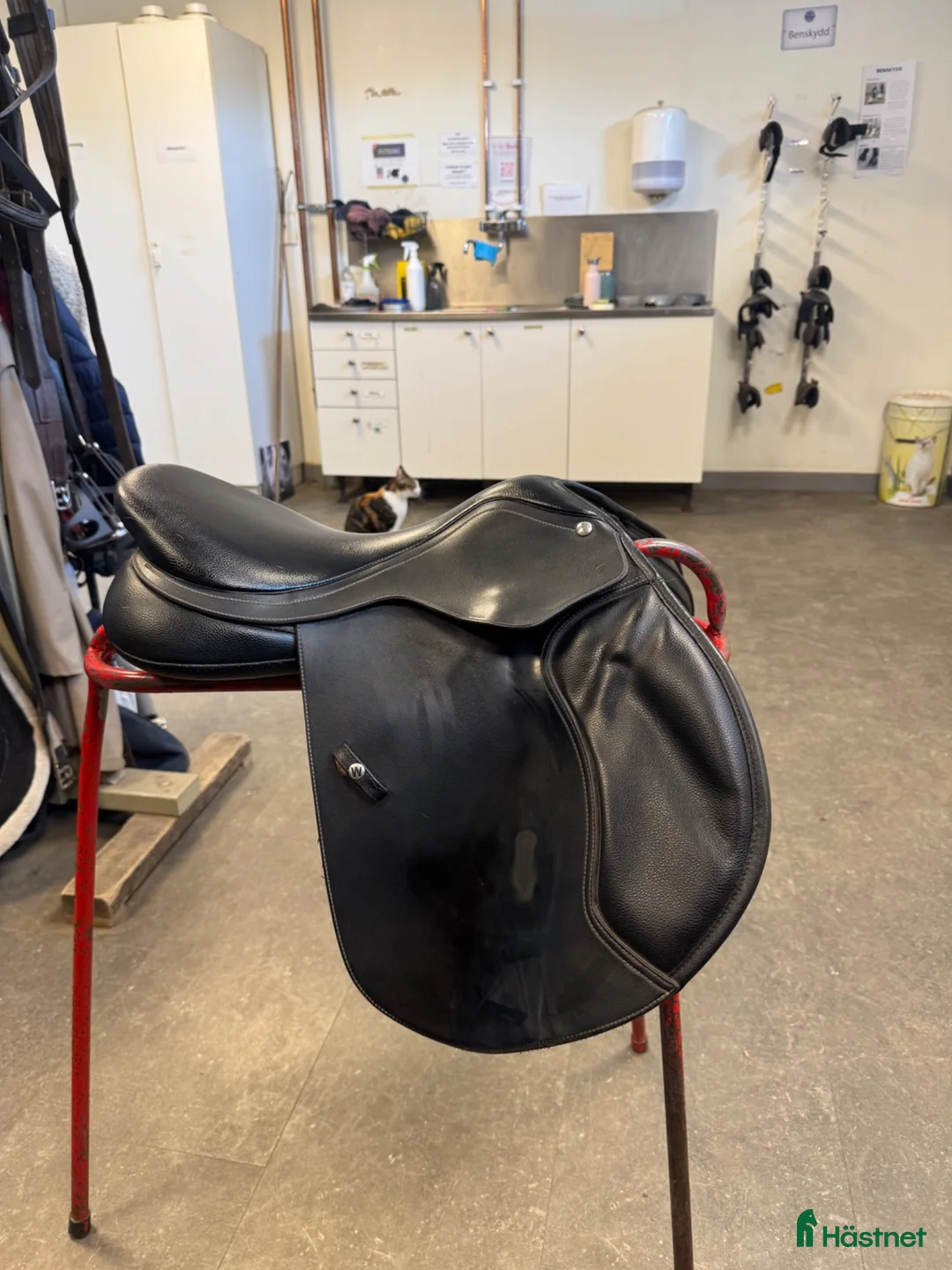 Sadlar hästutrustning till salu: Wintec 500cc sadel  - Annons 2