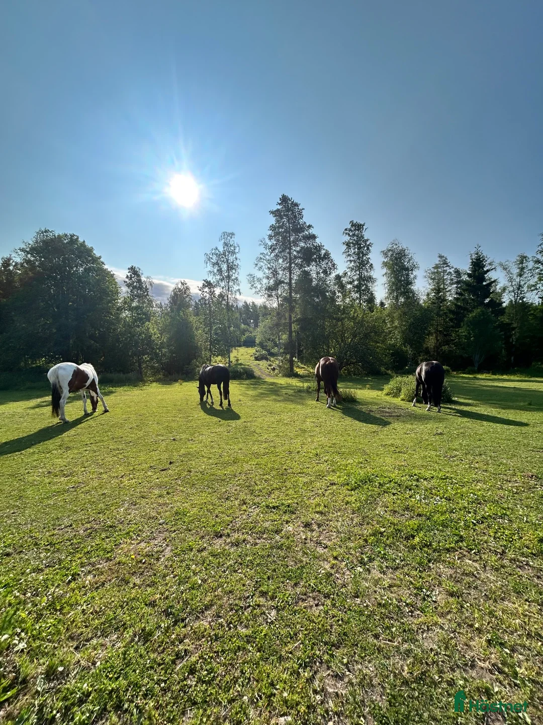  stallplats finnes: Stallplats Boxholm Östergötland  - Annons 1
