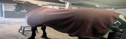 Täcken hästutrustning till salu: Rambo fleece och Amigo dry liner. - Annons 6