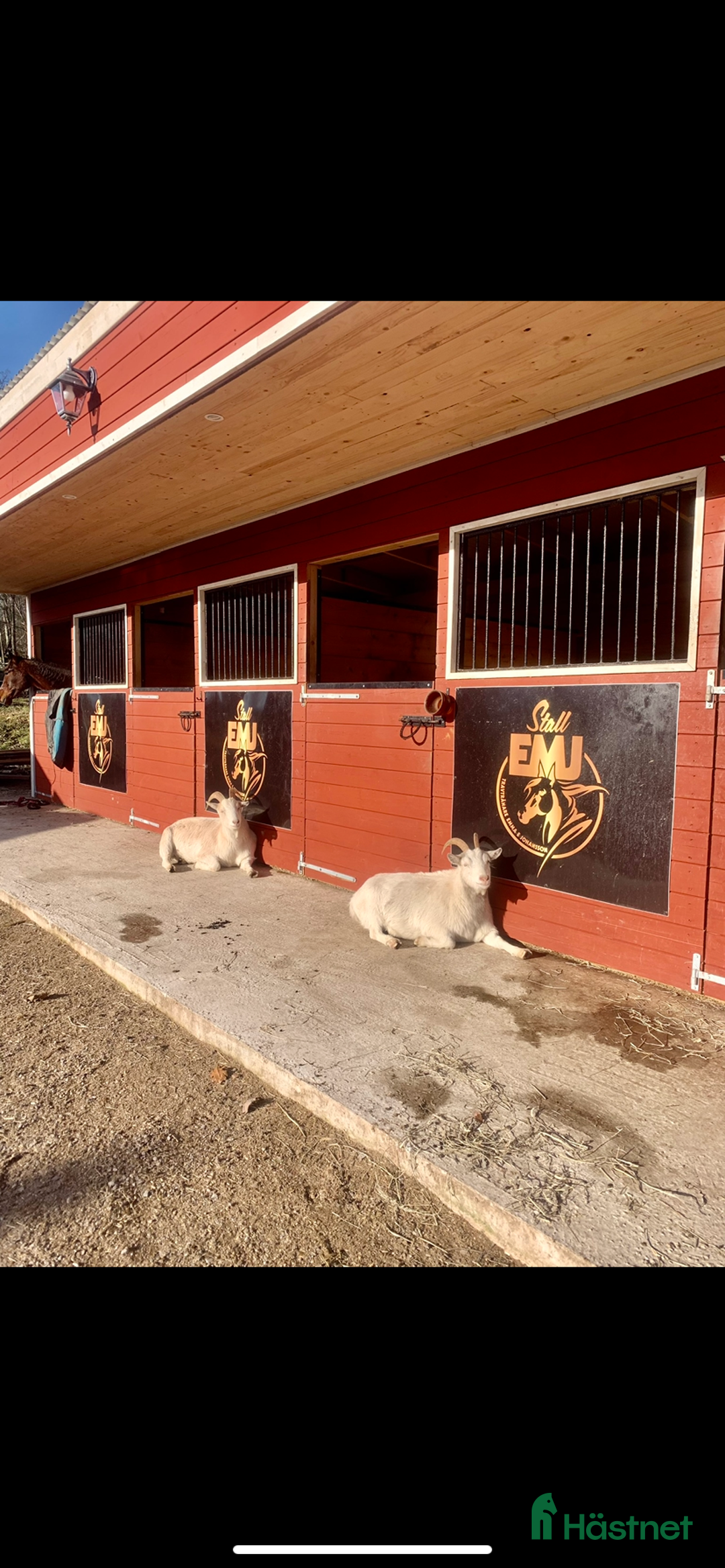 Stallinredning, stängsel & gård övrig utrustning till salu: Fint ute stall på 4boxar i Ruda - Annons 2