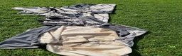 Täcken hästutrustning till salu: Regn/Flugtäcke Camofly 3-in-1 Plus Amigo Horseware - Annons 7