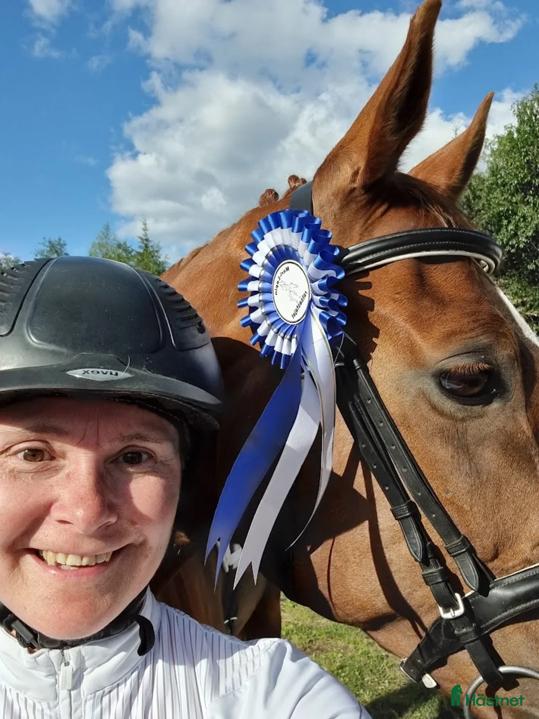 Galleribild {{count}}