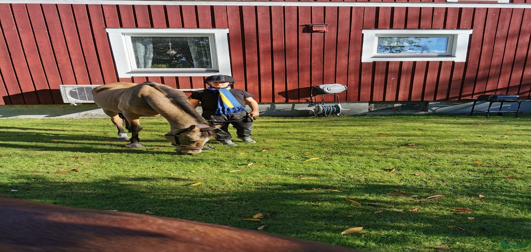 Galleribild {{count}}