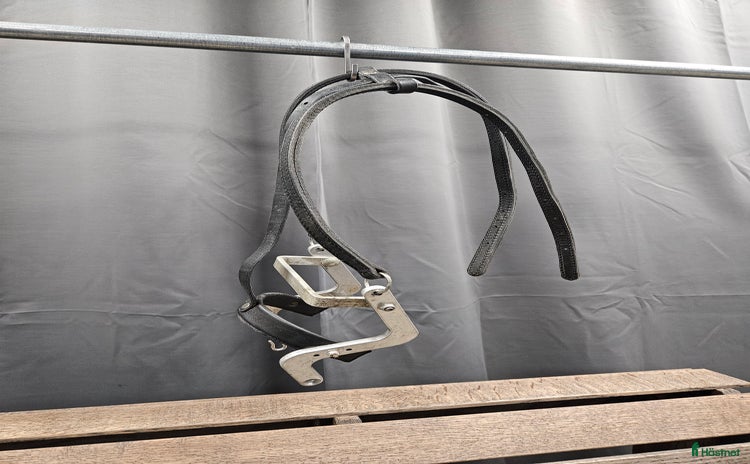 Övrig Travutrustning trav till salu i Gällivare - Annons 20