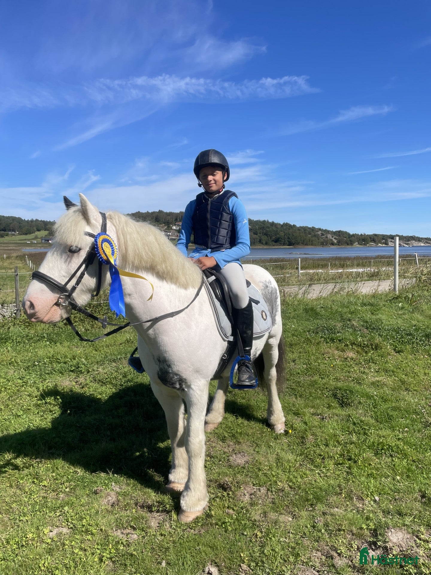  hästar Härlig maxad B-ponny  - Annons 15