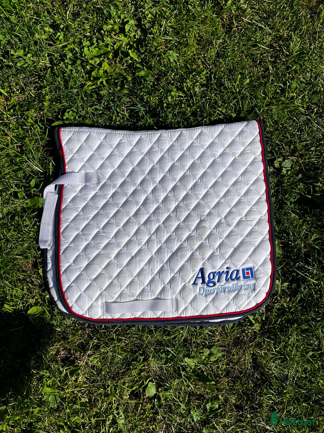 Schabrak & Vojlockar hästutrustning till salu: Schabrak dressyr ”P” Agria  i Holsbybrunn - Annons 1