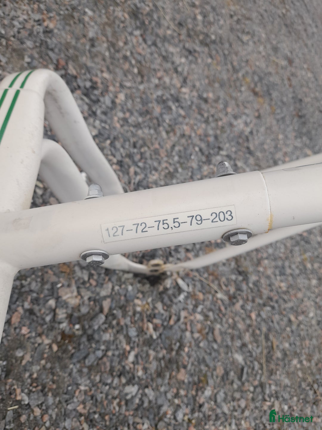 Travvagnar trav till salu: Coustom greyhound II i Kil - Annons 4