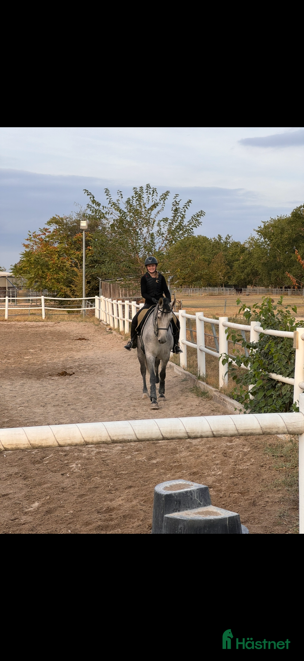 Allround hästar sökes: Söker du långvarig helfodervärd? Kolla hit! i Tollered - Annons 1