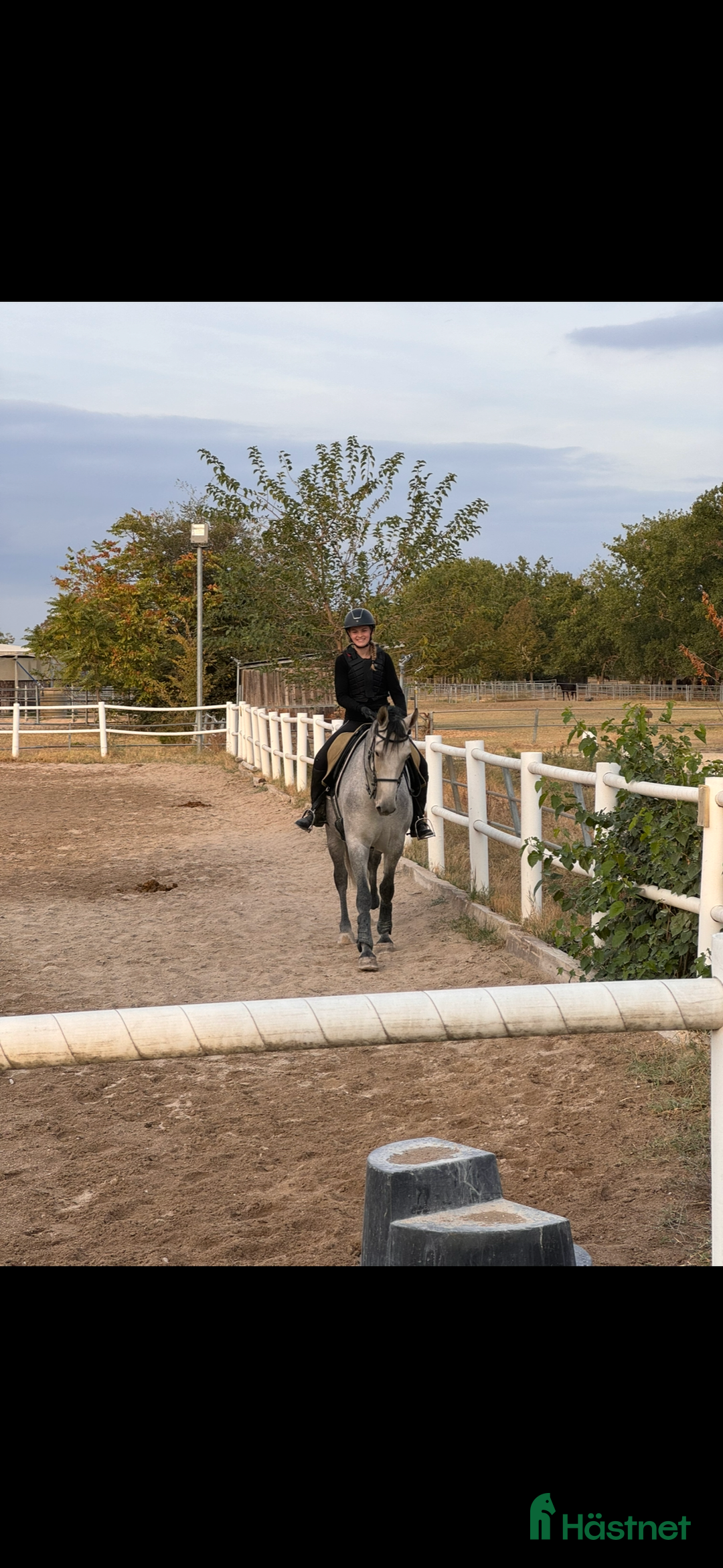 Allround hästar sökes: Söker du långvarig helfodervärd? Kolla hit! i Tollered - Annons 1