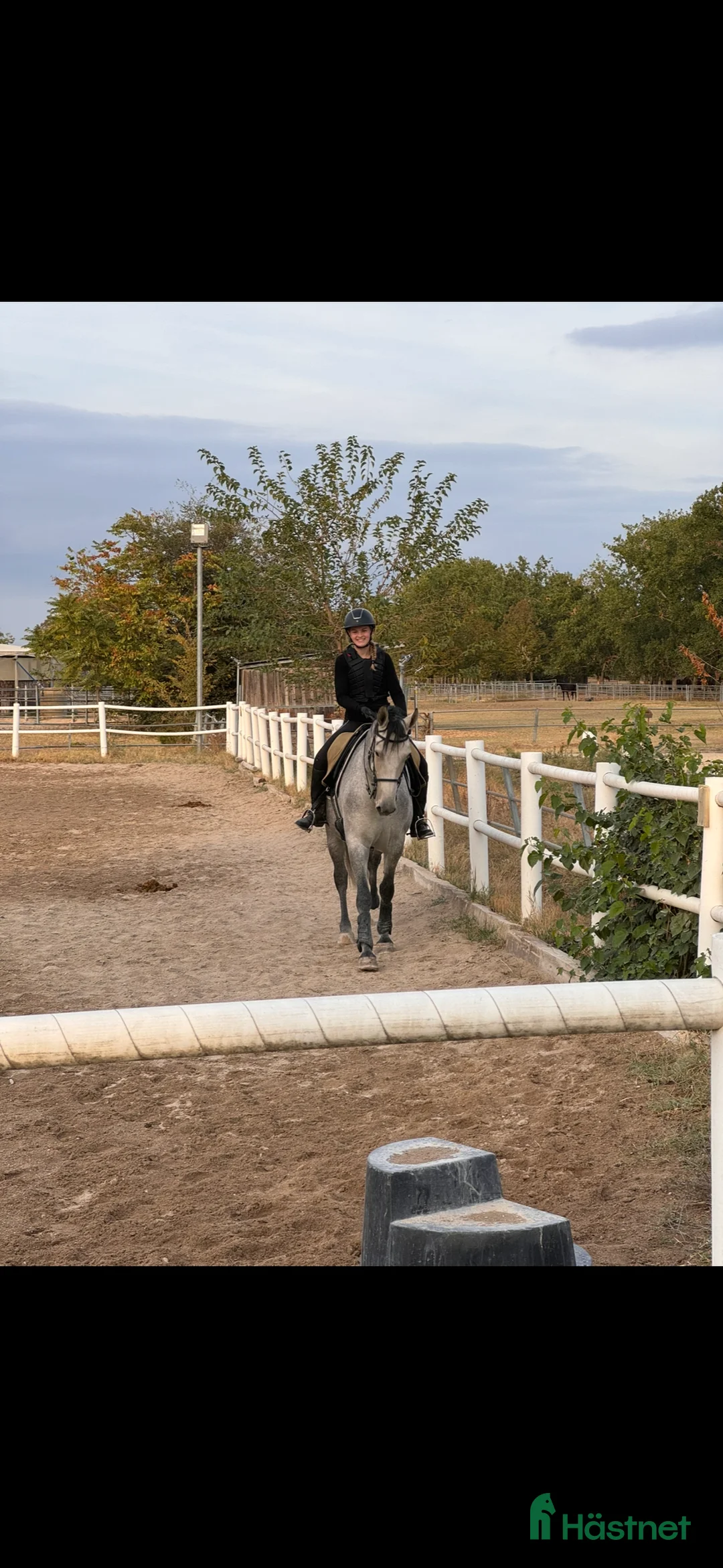 Allround hästar sökes: Söker du långvarig helfodervärd? Kolla hit! - Annons 1