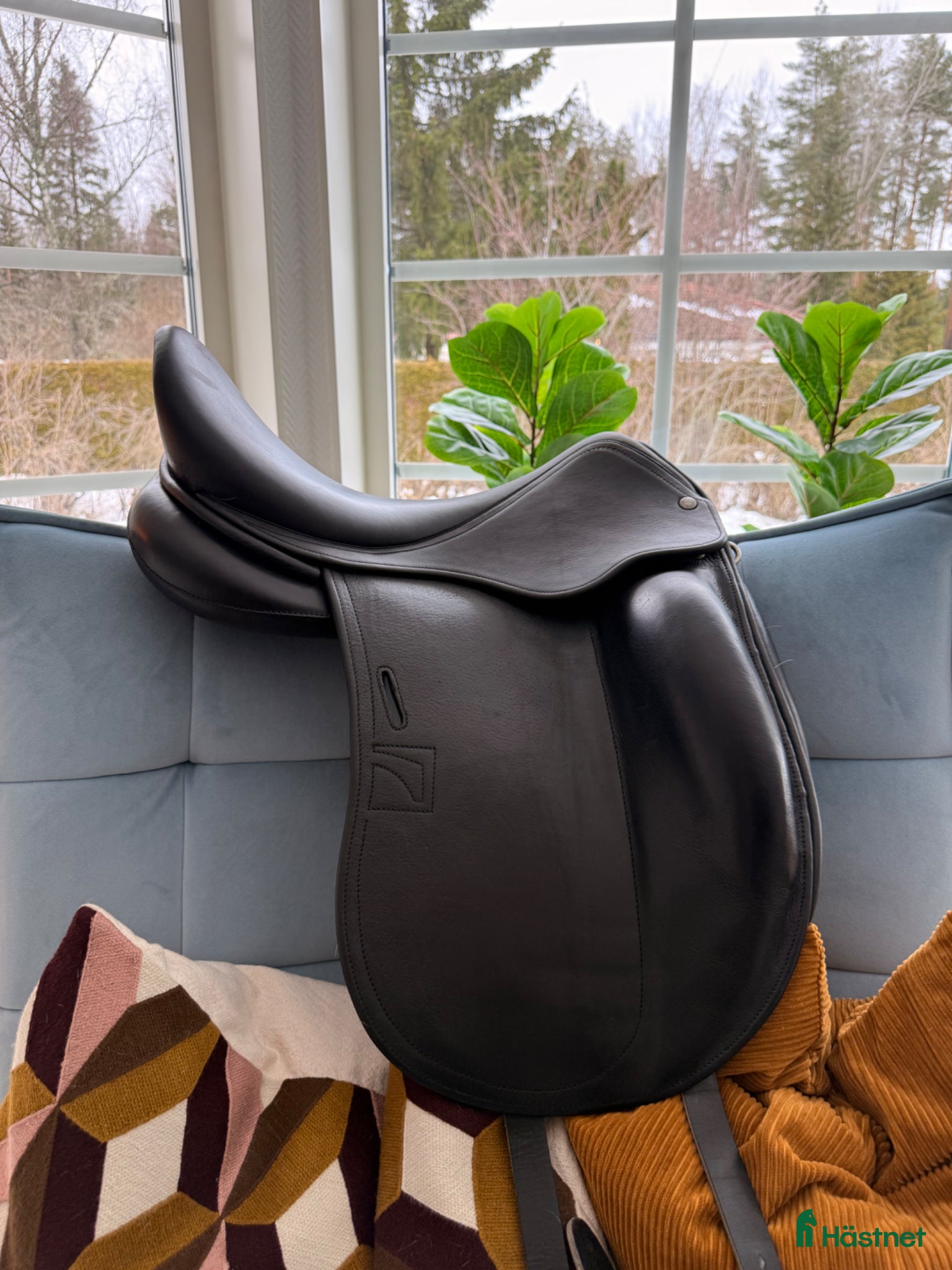 Sadlar hästutrustning Fin Childeric DNL - Annons 5