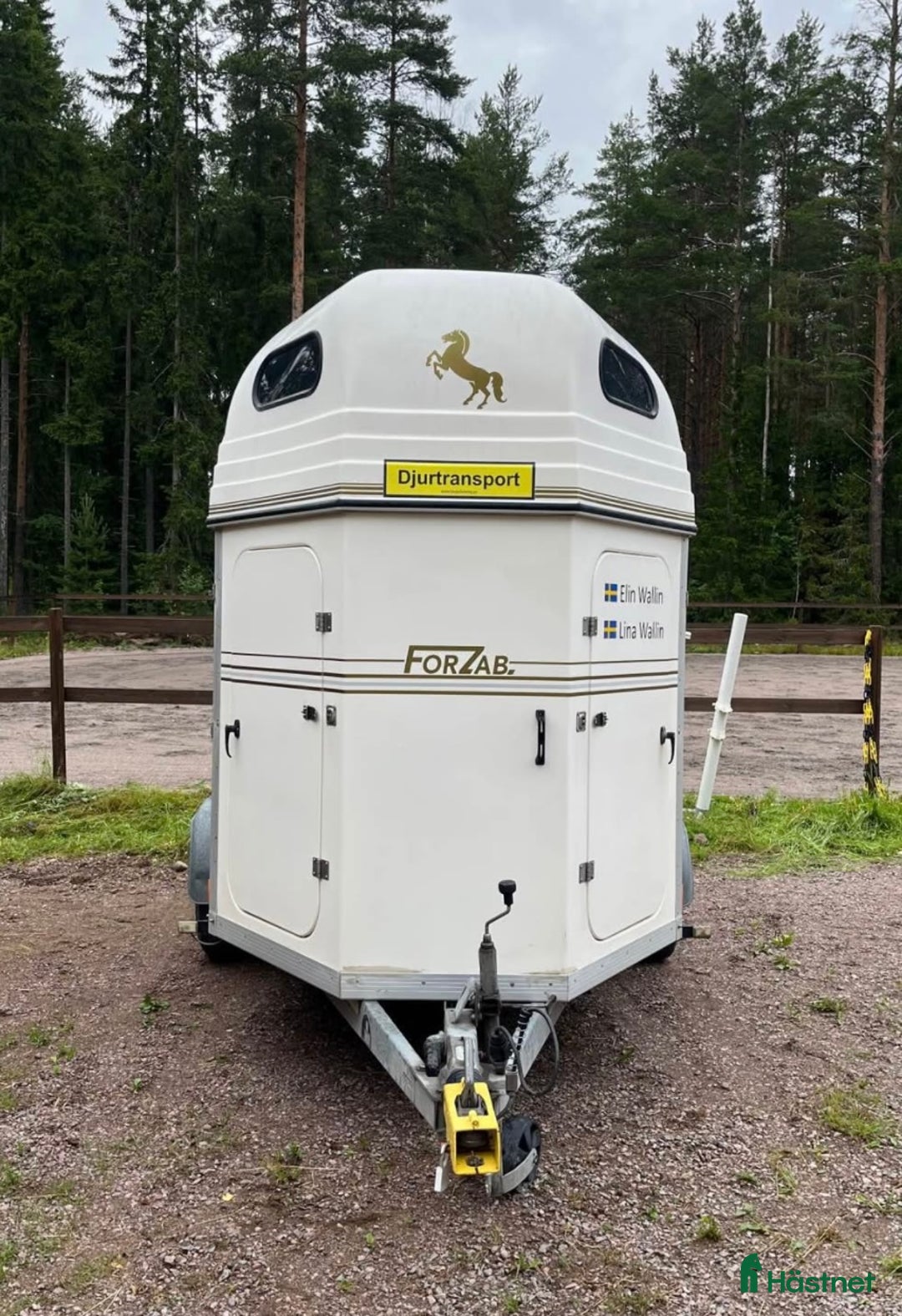 Hästtransporter  fordon & transport till salu: Forzab Cavallo i Valbo - Annons 3