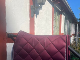 Schabrak & Vojlockar hästutrustning till salu: Ps schabrak i Genarp - Annons 3