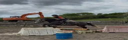 Allround hästar till salu: Beautiful Connemara mare - Annons 5