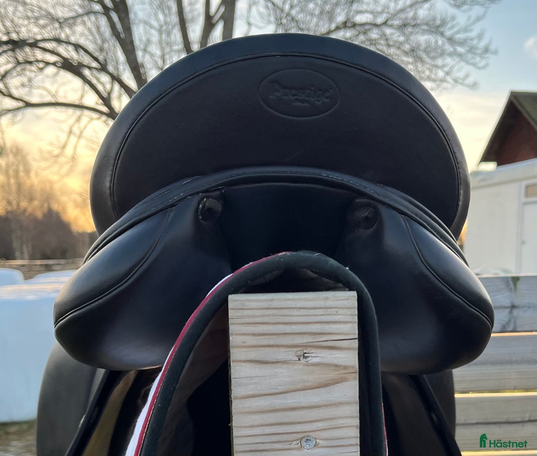 Sadlar hästutrustning till salu: Prestige Modena  i Hedemora - Annons 2