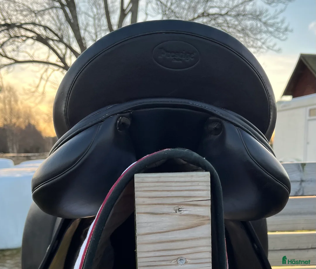 Sadlar hästutrustning till salu: Prestige Modena  i Hedemora - Annons 2