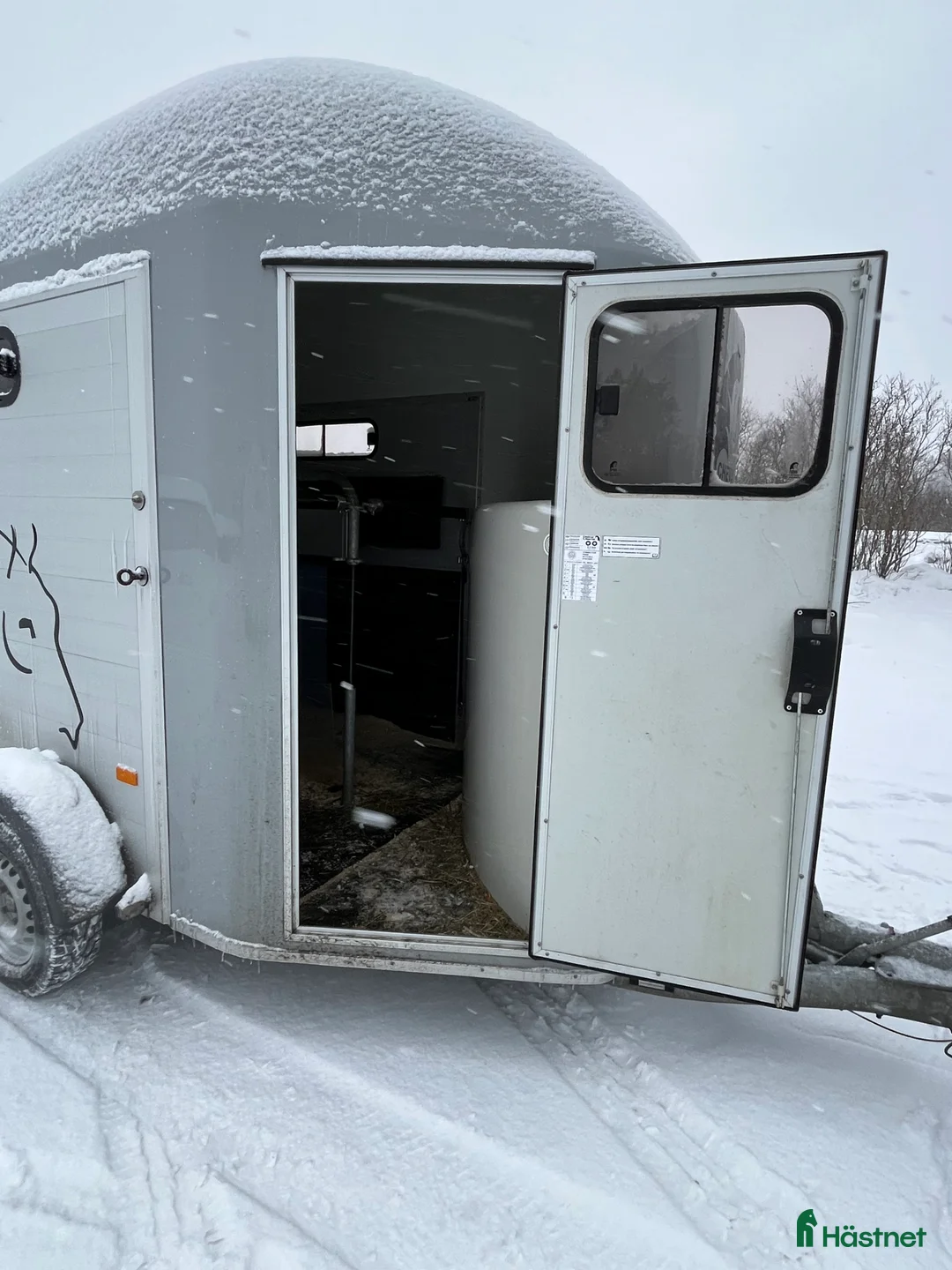 Hästtransporter  fordon & transport till salu: Cheval Gold  i Sundsvall - Annons 2