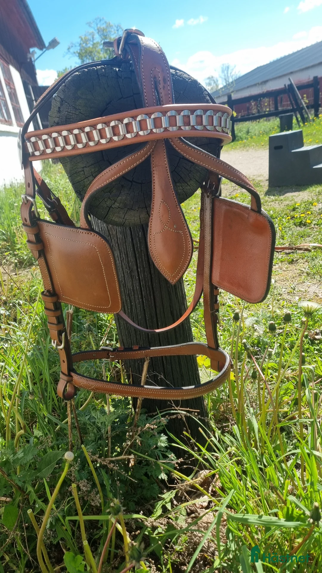 Körselar körning till salu: Cognac färgad bröstsele X-full i Eskilstuna - Annons 7