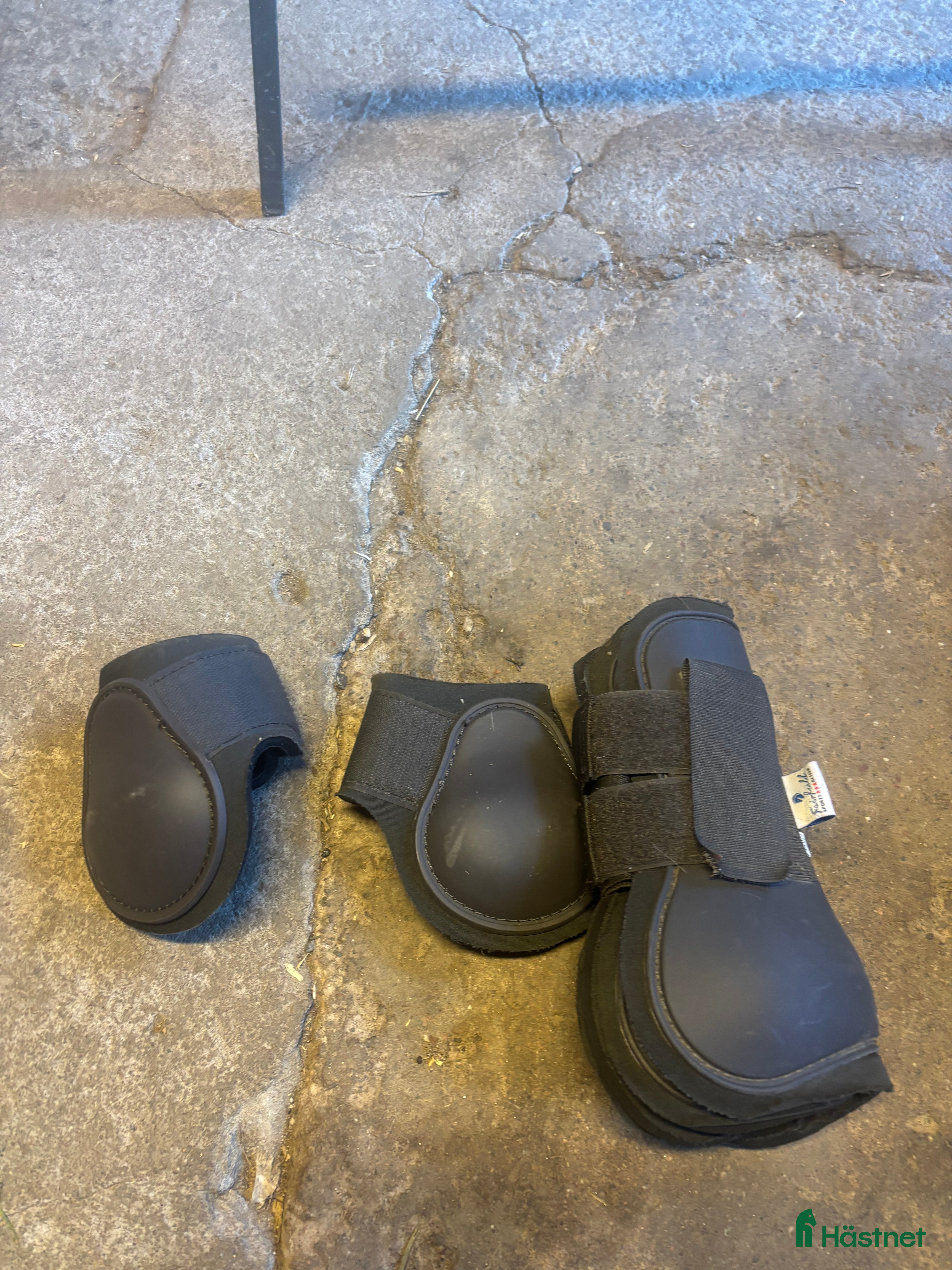 Benskydd hästutrustning Fina benskydd  - Annons 8