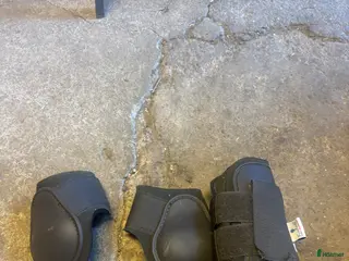 Benskydd hästutrustning Fina benskydd - Annons 8