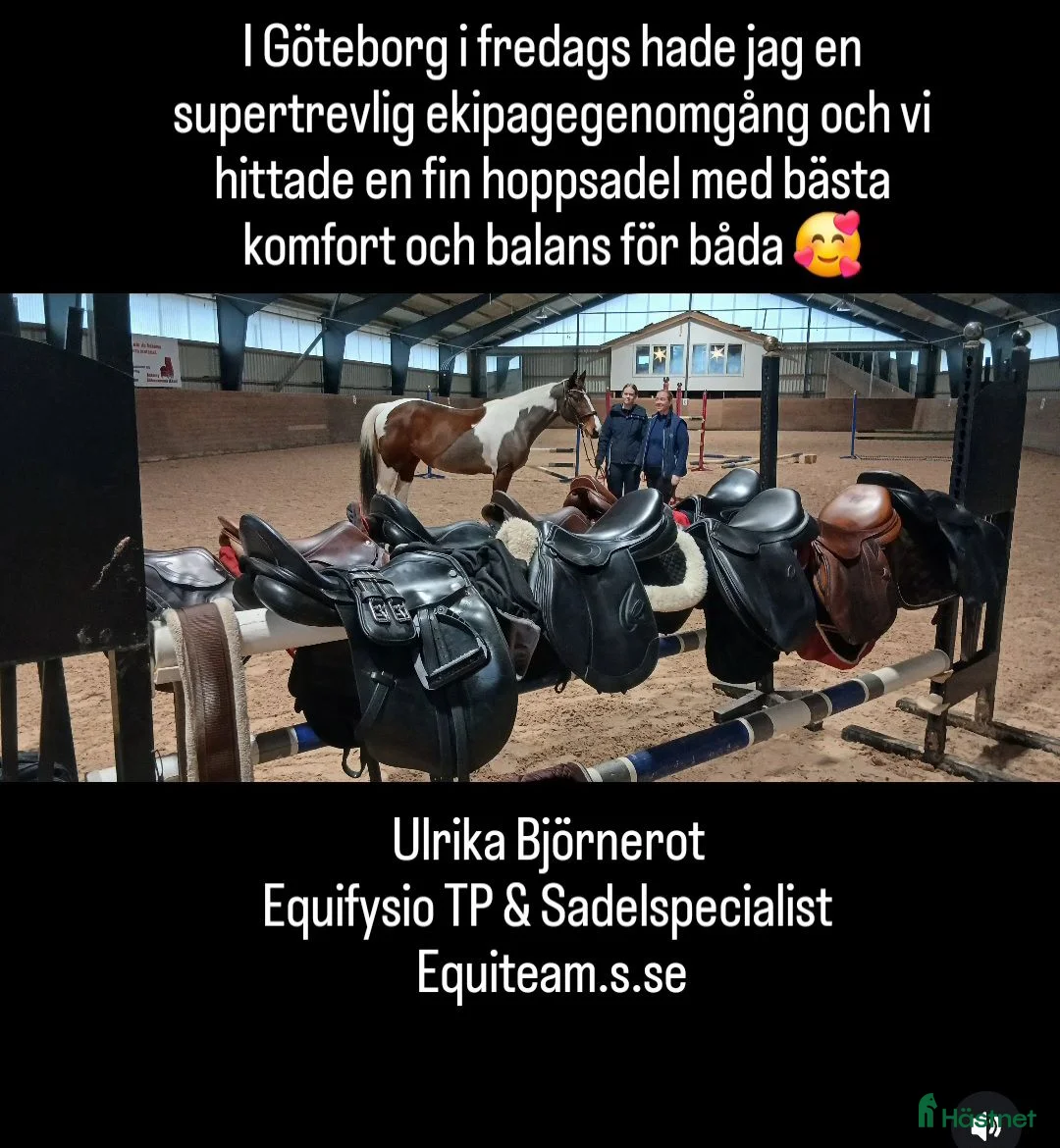 Sadlar hästutrustning till salu: Sadelhjälp Utprovning och Stoppning på plats i Förslöv - Annons 1