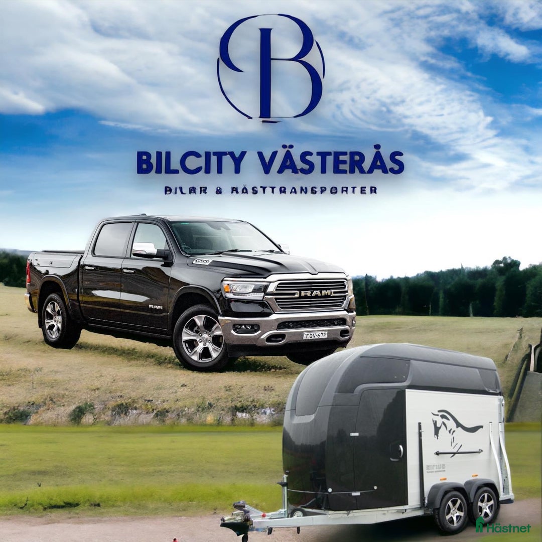 Hästtransporter  fordon & transport till salu: Vi köper din hästtransport!  i Västerås - Annons 2