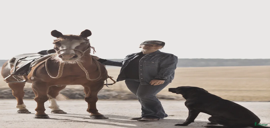 Galleribild {{count}}