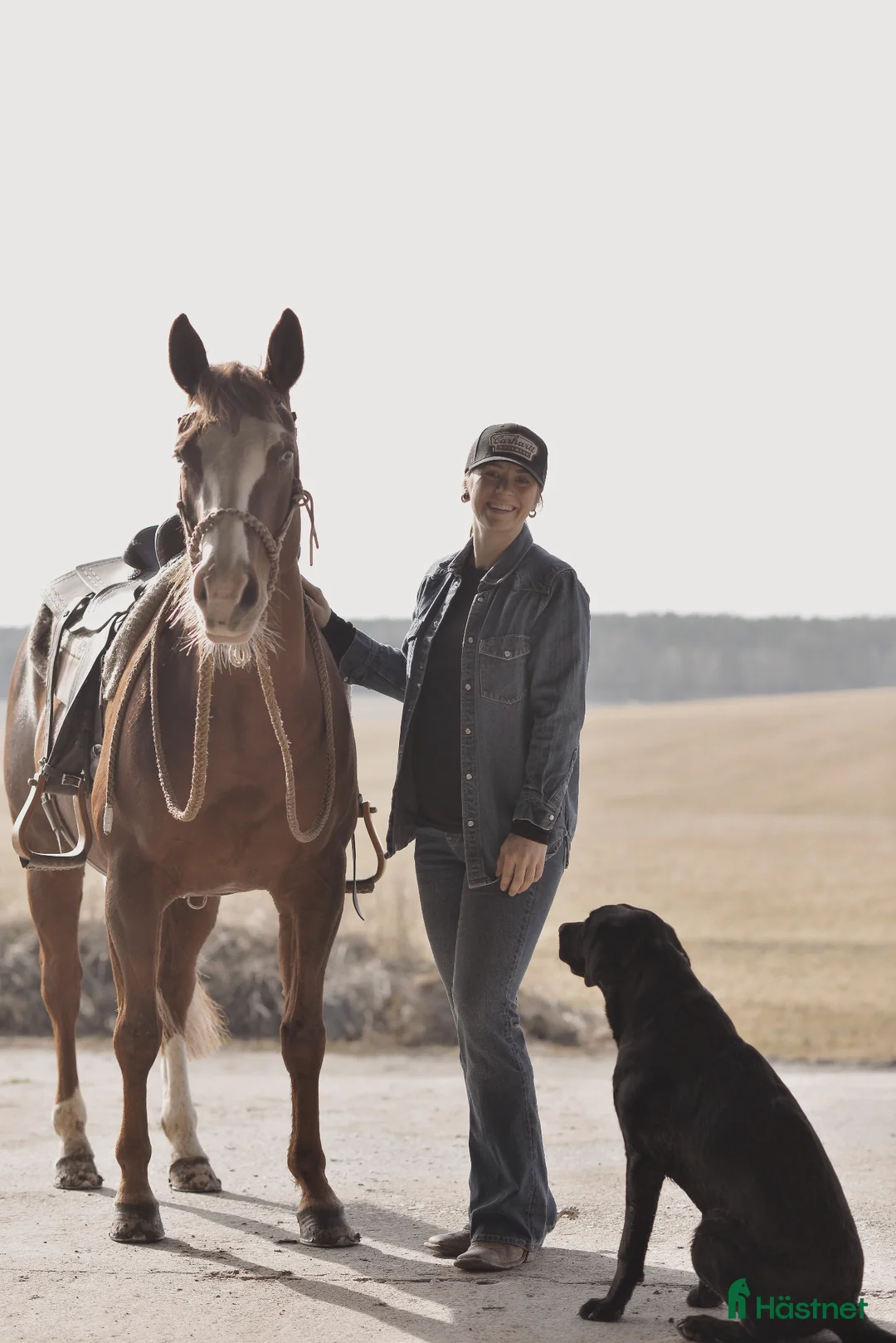 Galleribild {{count}}