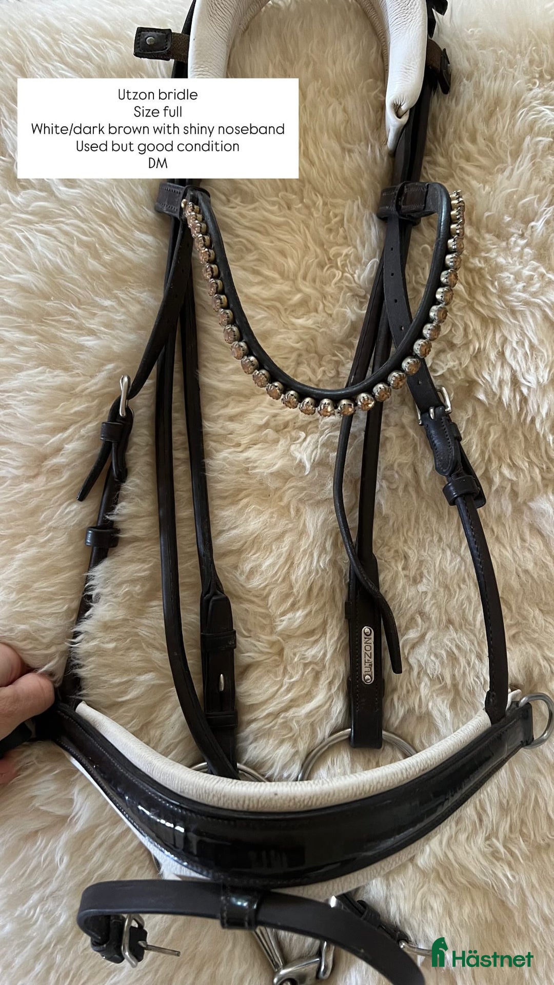 Träns hästutrustning till salu: Utzon träns i Åhus - Annons 1