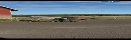 Hoppning hästar till salu: Hingstföl med de lilla extra⭐️ i Sollebrunn - Annons 3