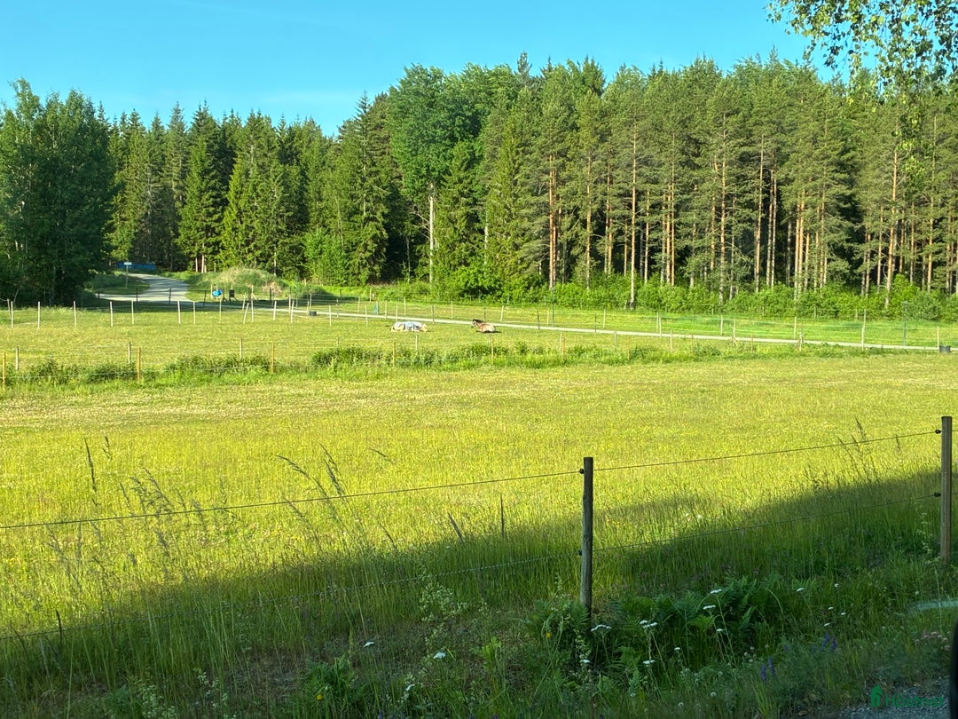  stallplats finnes: Boxplats med lång utevistelse i Åkersberga - Annons 5