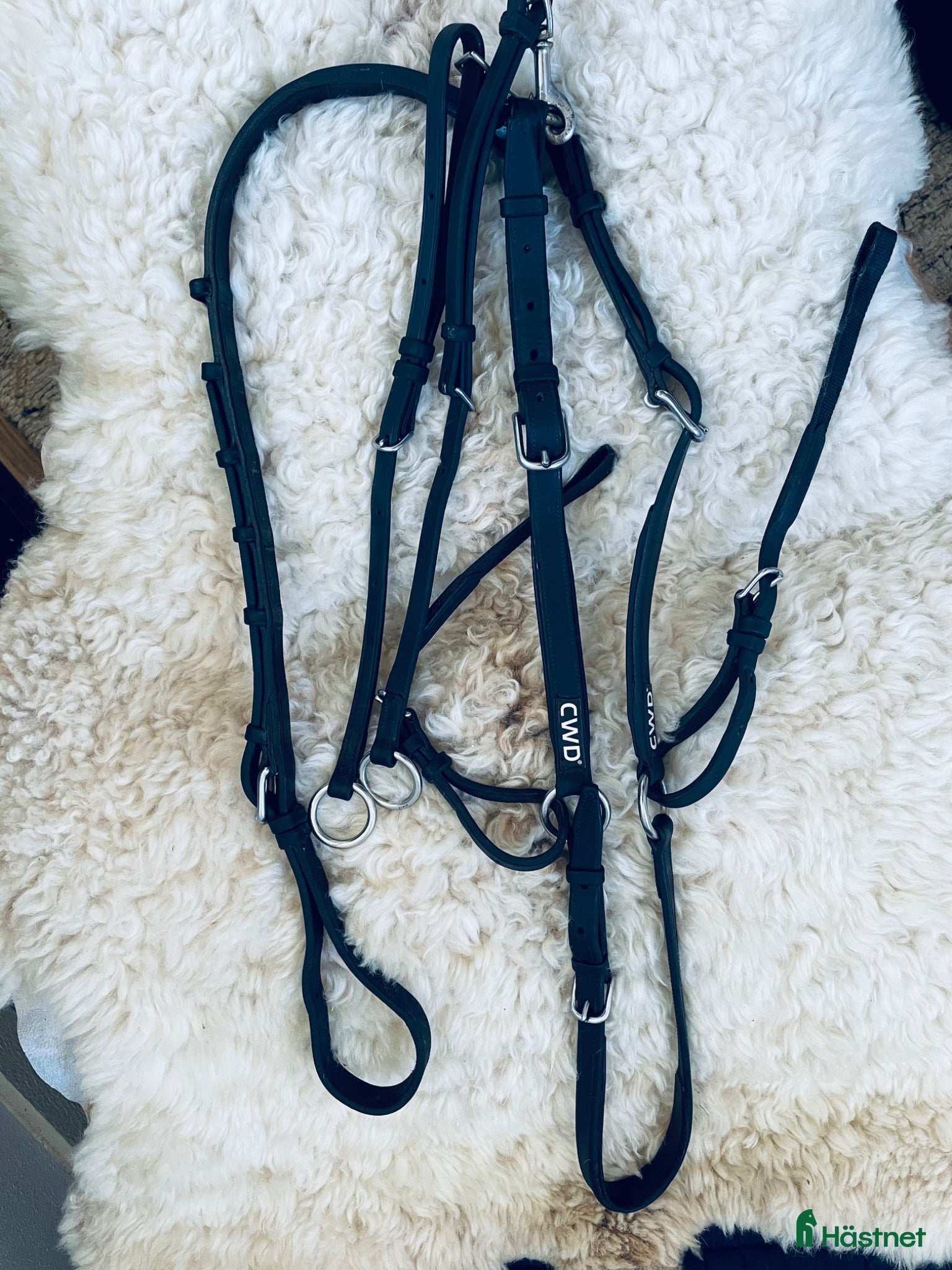 Sadeltillbehör hästutrustning CWD Förbygel - Annons 7