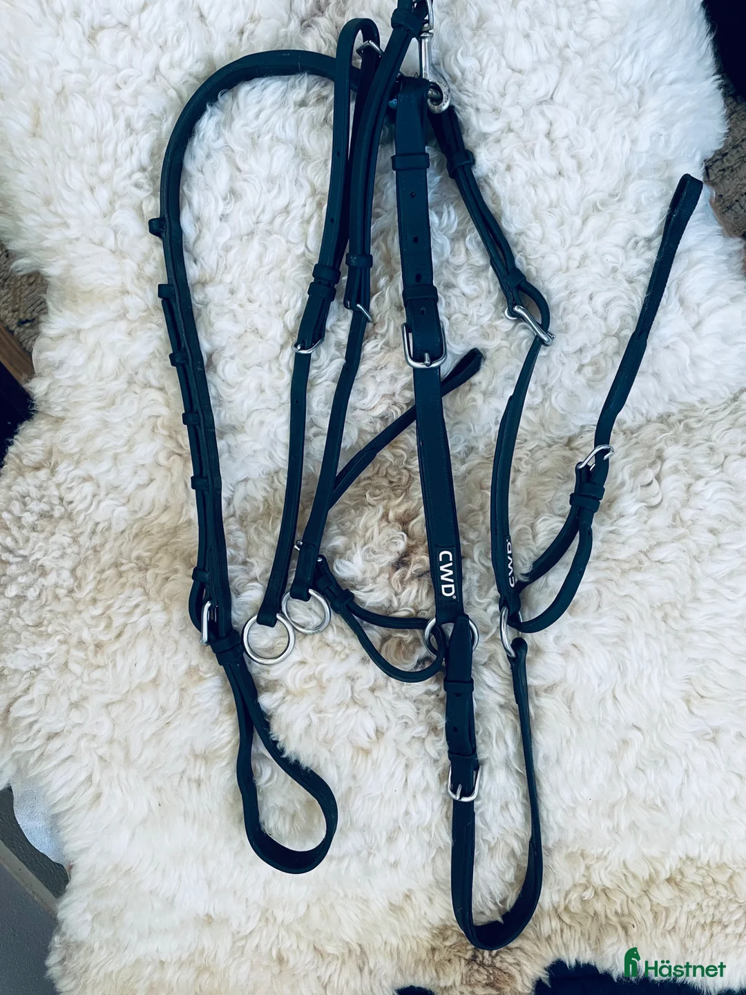 Sadeltillbehör hästutrustning till salu: CWD Förbygel - Annons 1