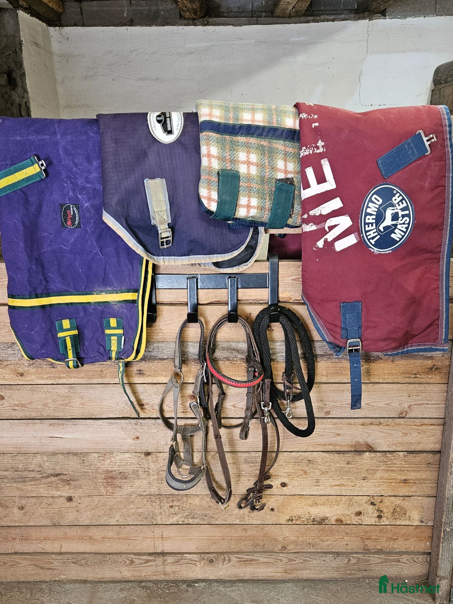 Täcken hästutrustning Shettispaket - Annons 12